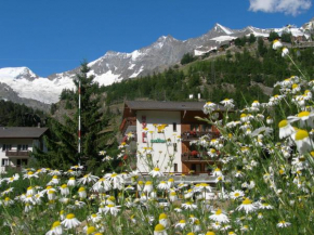  Hotel Adler  Саас-Грунд